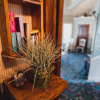 Отель Yelton Manor Bed & Breakfast, фото 20