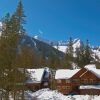 Отель Polar Peak Lodges by Fernie Lodging CO, фото 26