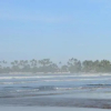 Отель Duwawaththa Beach House, фото 14