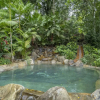 Отель Chachagua Rainforest Hotel & Hot Springs, фото 17