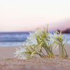 Отель Alianthos Garden Hotel, фото 22