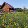 Отель Vineyard cottage Vinska grajska kašča, фото 19
