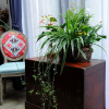 Отель Peking Station Youth Hostel, фото 2
