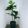Отель HolaYoyo, фото 15