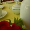 Отель White Rose Guest Inn, фото 11