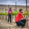 Отель Boker Valley Vineyards Farm, фото 17