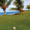 Отель Gran Pacifica Beach Resort & Homes, фото 24