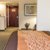Отель Comfort Inn & Suites, фото 2