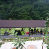 Отель Gangneung Sogeumgang Happiness Pension, фото 17