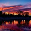 Отель Apple Bear Cottage, фото 13