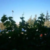 Отель Fenerion Golden Horn, фото 10