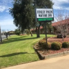 Отель Finley Palm Motor Inn, фото 24