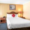 Отель Econo Lodge Inn & Suites, фото 23