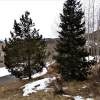 Отель WHKM Watch Hill 2 bed 2 bath, фото 1