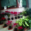 Отель Archana Residency, фото 16