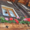 Отель Chalet Heidi, фото 1