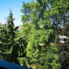 Отель Ott, фото 8