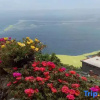 Отель Qingdao Lingshan Island Chunshe Homestay, фото 7