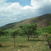 Отель Marjaniek Guest House & Game Lodge, фото 16