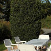 Отель Charming Holiday Home in Halleux with Garden, фото 5