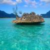 Отель Fortuna Beach, фото 42
