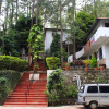 Отель OYO 14807 Hotel Yercaud The Raintrees, фото 24