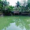Отель SaffronStays Amaya, Kannur - 300 Years Old Heritage Estate for Families and Large Groups, фото 19