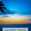 Отель Anomabo Beach Resort, фото 16