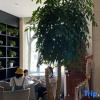 Отель Vatica Hefei Huizhou Avenue Chinese Academy of Social Sciences Hotel, фото 20