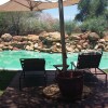 Отель Madikwe River Lodge, фото 10
