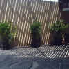 Отель bonsai, фото 18