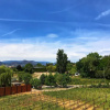 Отель Wesbert Winery & Guest Suites, фото 19