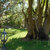 Отель Villa Palmisani, фото 27