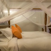 Отель Chimpundu Lodge, фото 27