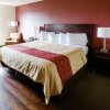 Отель Red Roof Inn PLUS+ Danville, KY, фото 6