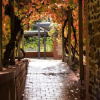 Отель Hanisch Haus, фото 21