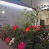 Отель Residencial Las Rocas I, фото 18