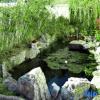 Отель Xinyu Homestay, фото 6