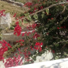 Отель Kykladitiko Spiti, фото 22