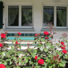 Отель Apartment Helene Adelboden, фото 18