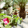Отель Albergo Otel Cesme, фото 9