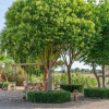 Отель BANC DOLI - Villa for 6 people in MANACOR., фото 11