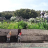 Отель Chambre d’hôtes : Entre mer et colline, фото 5