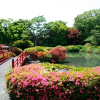 Отель Garden Palace, фото 10