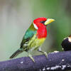 Отель El Edén Treehouse, фото 24