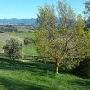 Отель Omaka Heights B & B Country Stay, фото 9