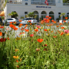 Отель Best Western Hotel Bellevue au Lac, фото 1