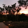 Отель Ojai Retreat & Inn, фото 19