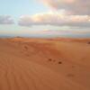 Отель Alsarmadi Desert Camp, фото 44