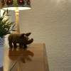 Отель Laurel Bank Bed and Breakfast, фото 11